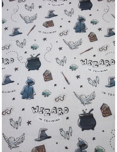 Tissu Coton Imprimé  Harry Potter, Poudlard - Blanc - KILOtela
